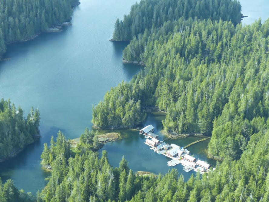 Aerial view of Sleepy Bay showing lodge buildings nestled in pristine forest
