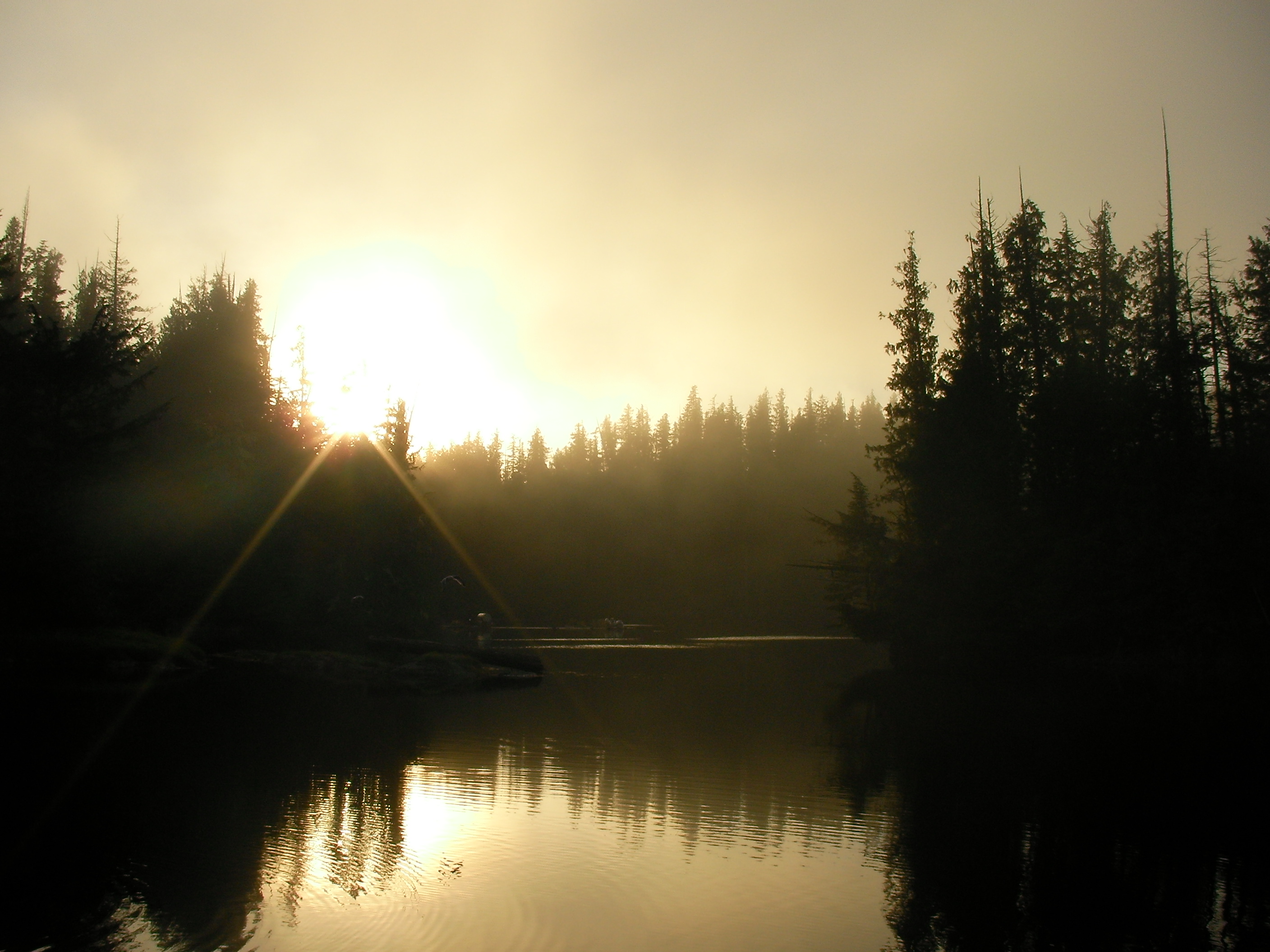 Peaceful morning with mist rising over lodge buildings