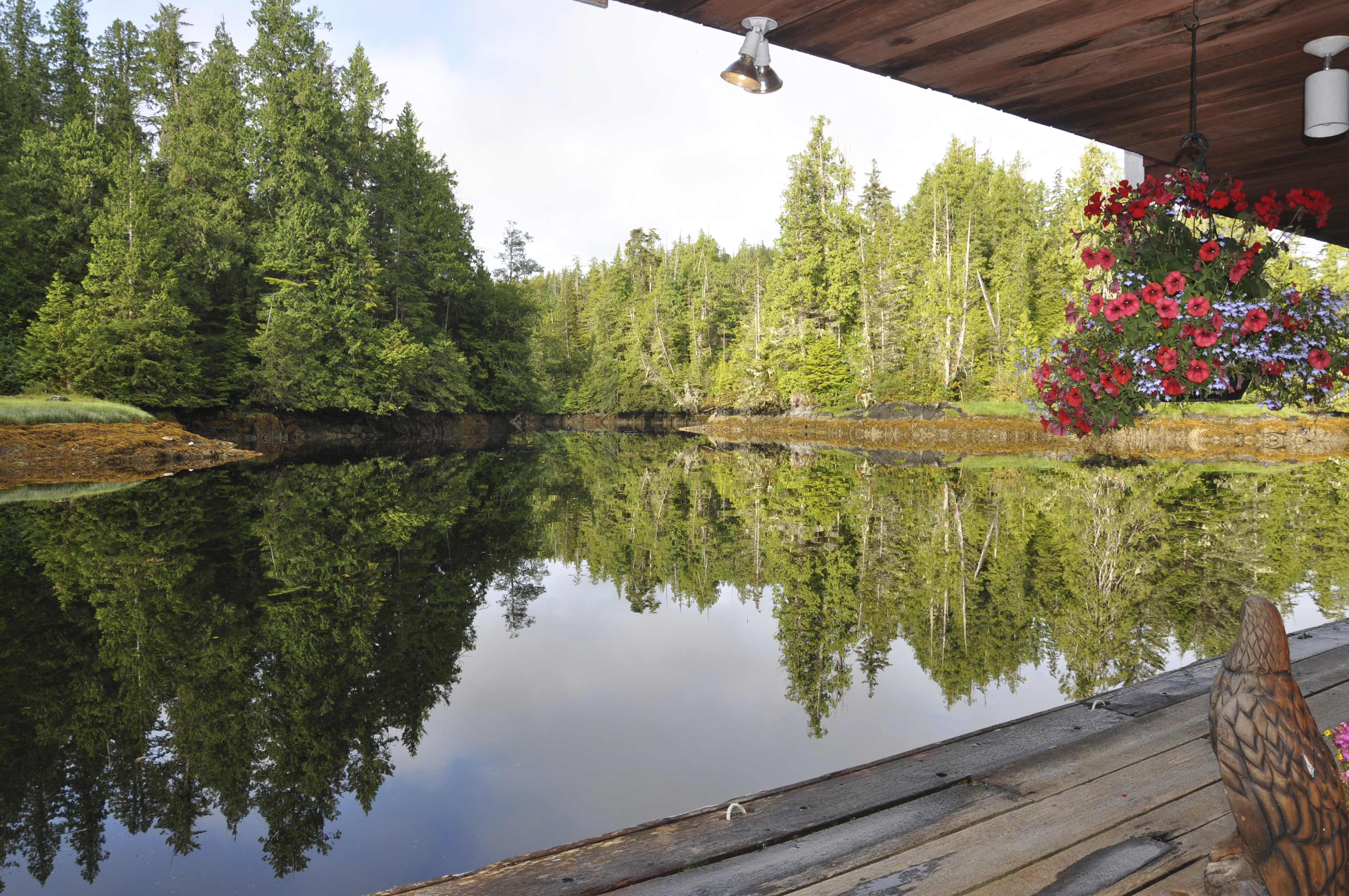 Peaceful dock with forest reflections in still water